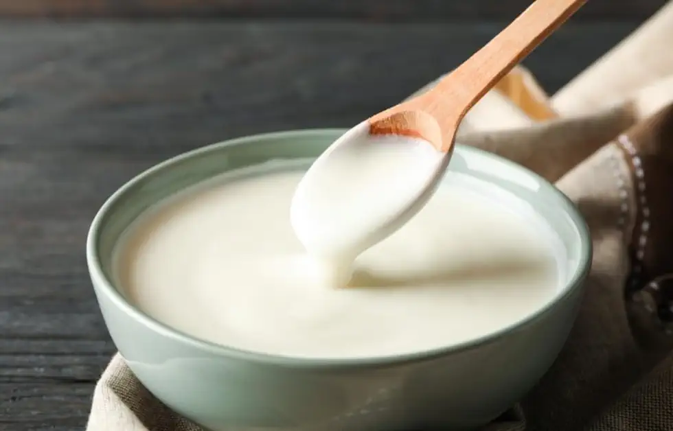 🥣 Creme de Leite Caseiro Econômico e Delicioso 2 Como fazer Creme de Leite Caseiro