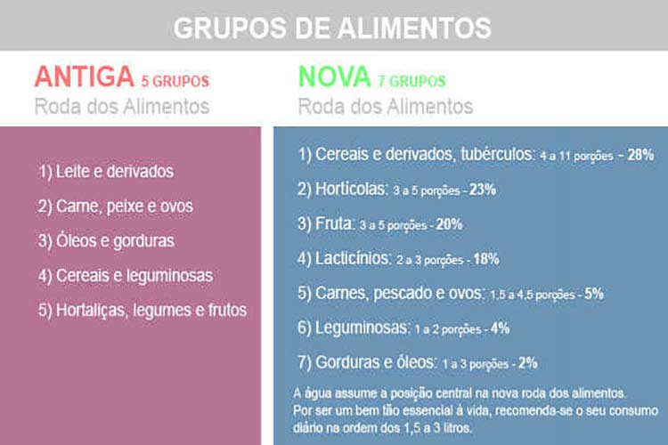 Conheça a Nova Roda dos Alimentos veja o que nos ensina 2 Nova Roda dos Alimentos o que nos ensina?