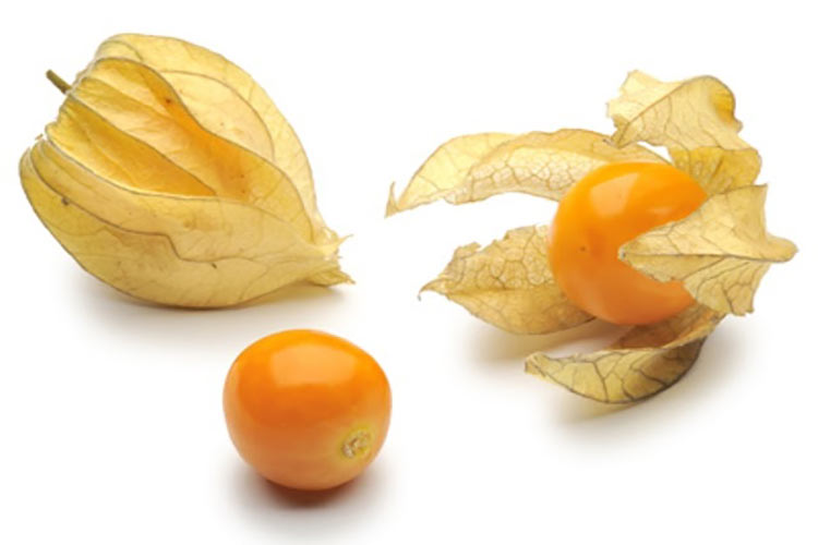 Como fazer uma Deliciosa Geleia de Physalis 2 Deliciosa Geleia de Physalis