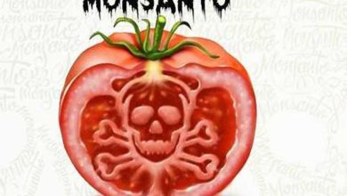 Monsanto saiba o que você está Comendo