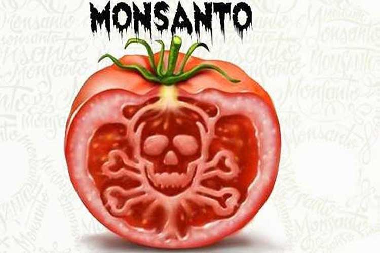 Monsanto saiba o que você está Comendo