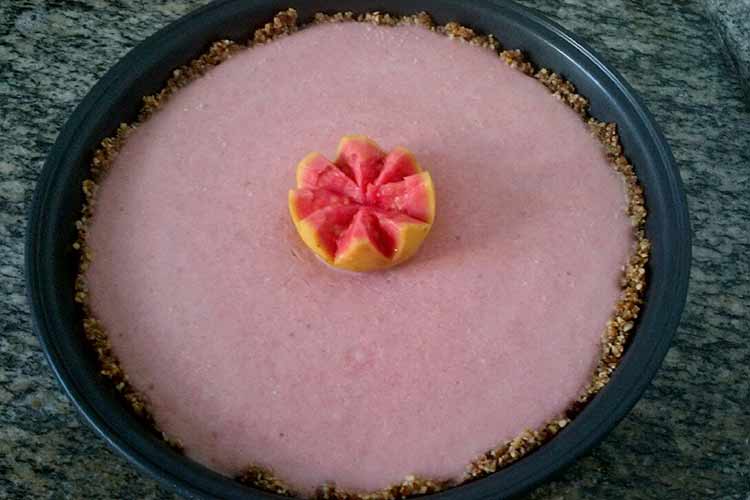 Como fazer Torta de Sorvete Crudívora Vegana 3 Torta de Sorvete Crudívora