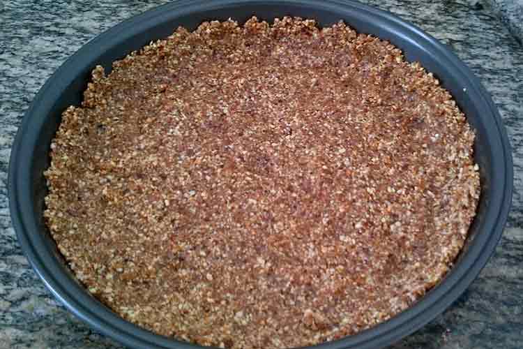 Como fazer Torta de Sorvete Crudívora Vegana 2 Torta de Sorvete Crudívora