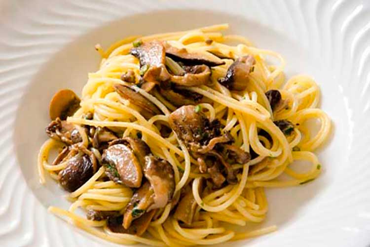 Receita de Espaguete com Ragu de Cogumelos