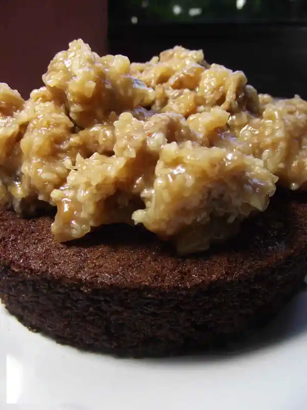 Delicioso Bolo de Chocolate com Cobertura de Nozes sem Glúten 2 Bolo de Chocolate com Cobertura
