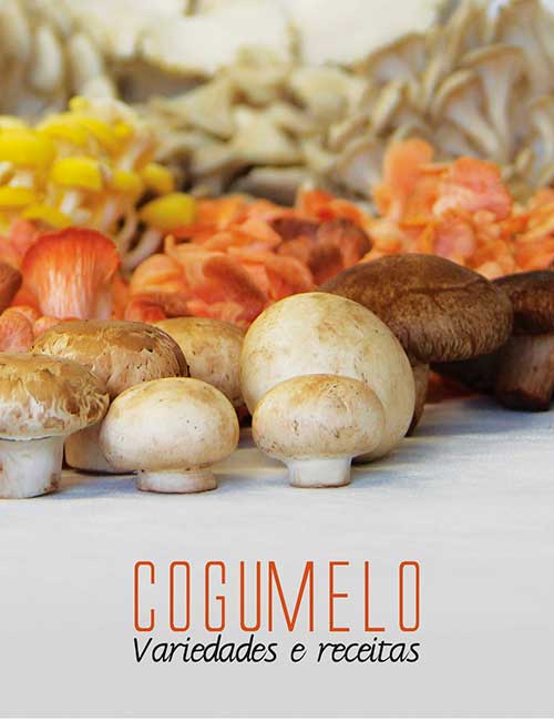 Nosso Dicionário de Temperos e especiarias, sabores que realçam 2 Nosso Dicionário de Temperos e Especiarias