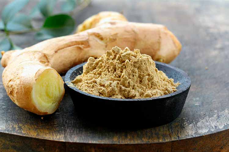 Conheça os 11 Alimentos Naturais mais poderosos 11 Antibióticos Naturais mais poderosos