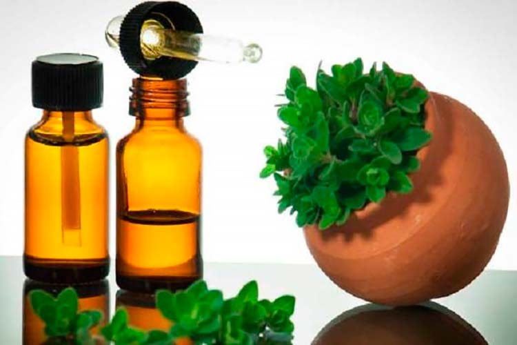 Conheça os 11 Alimentos Naturais mais poderosos 11 Antibióticos Naturais mais poderosos