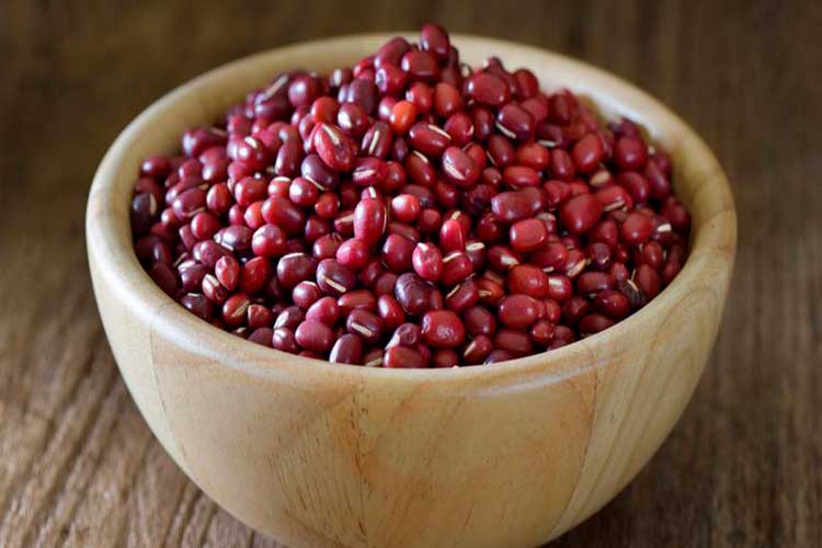 Conheça os 8 Benefícios do Feijão Azuki para a Saúde e suas Proteínas 2 8 Benefícios do Feijão Azuki