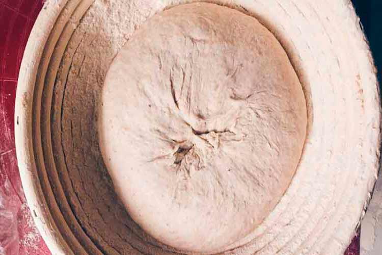 Aprenda a fazer seu Fermento Levain natural caseiro 5 Fermento Levain natural caseiro