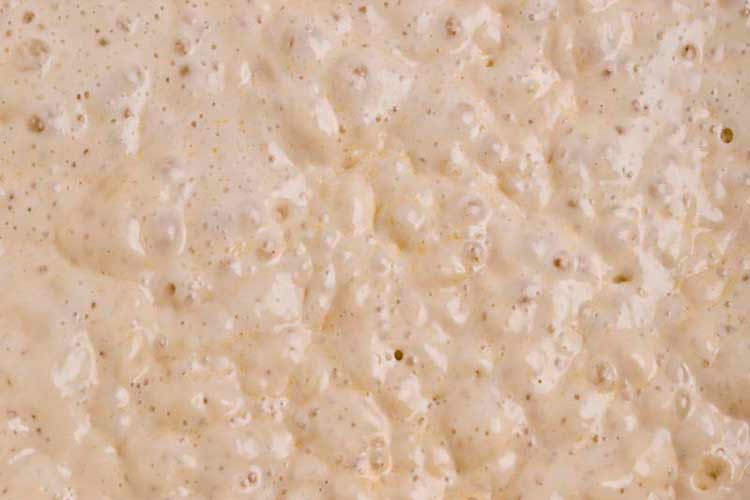Aprenda a fazer seu Fermento Levain natural caseiro 2 Fermento Levain natural caseiro