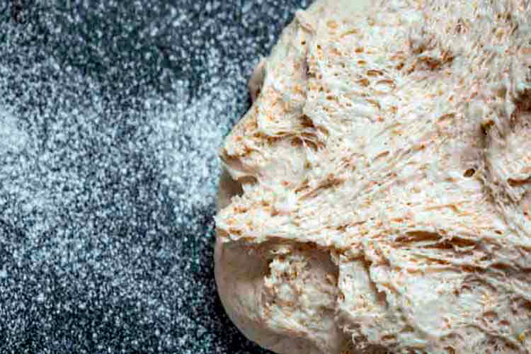 Aprenda a fazer seu Fermento Levain natural caseiro 4 Fermento Levain natural caseiro