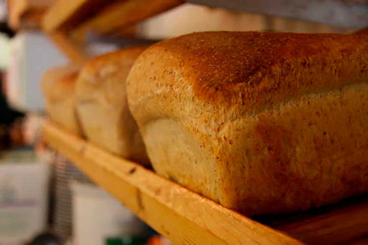 Receitas Praticas e Deliciosas de Pão Caseiro 