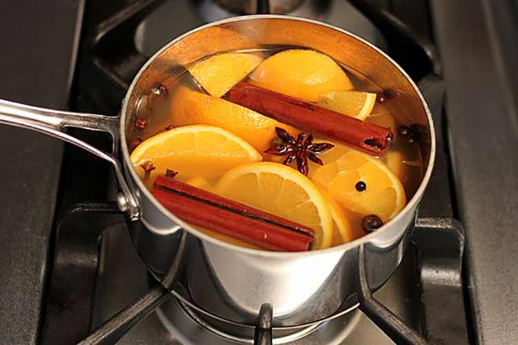 Veja como fazer Aromatizadores Naturais para Ambientes 3 Aromatizadores Naturais para Ambientes