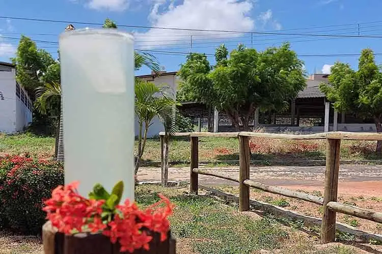 3 Receitas para inovar nos Drinques de Natal e Ano Novo 4 Drinques de Natal e Ano Novo