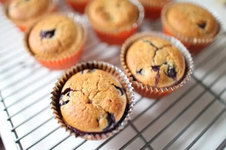 Aprenda a fazer 5 Receitas de Muffins Nutritivos para o seu café da manhã 2 Receitas de Muffins Nutritivos