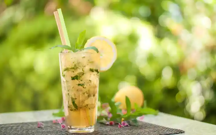 Cerveja ou Drinks? Os dois! Conheça 5 Opções para variar nas Festas 2 Cerveja ou Drinks
