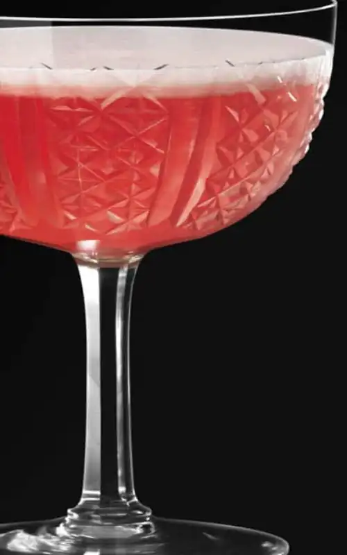 Bacardi: 4 Drinks Essenciais para suas Festas 2 Drinks Essenciais