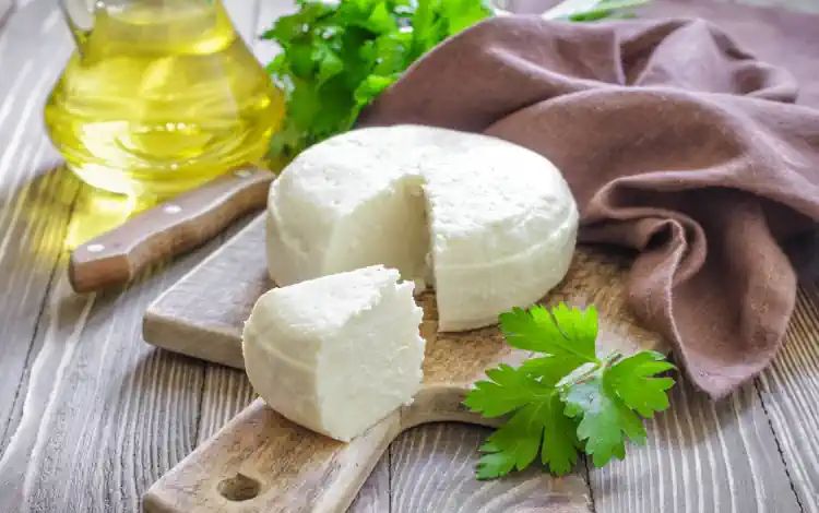 O Curso Alquimia do Queijo: Será que Vale a Pena? 2 Curso Alquimia do Queijo