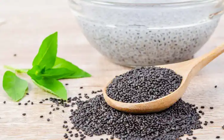 Desvendando os Segredos da Chia: 16 Benefícios e Formas de Consumo 2 Desvendando os Segredos da Chia
