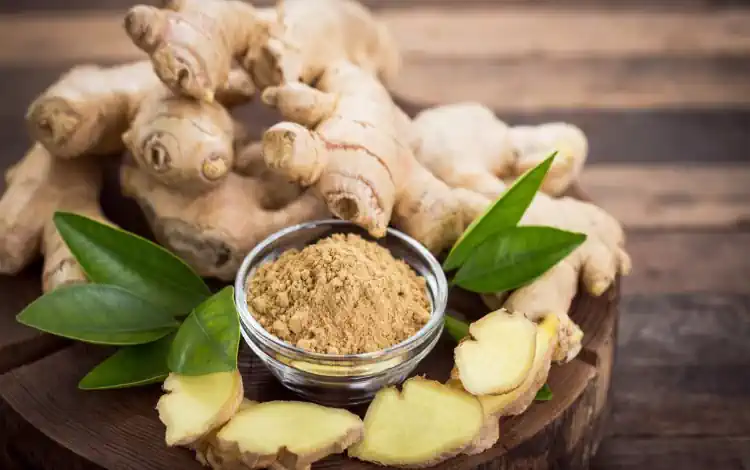 Descubra 10 dicas sobre o Gengibre Super Termogênico Natural! 2 Gengibre Super Termogênico Natural