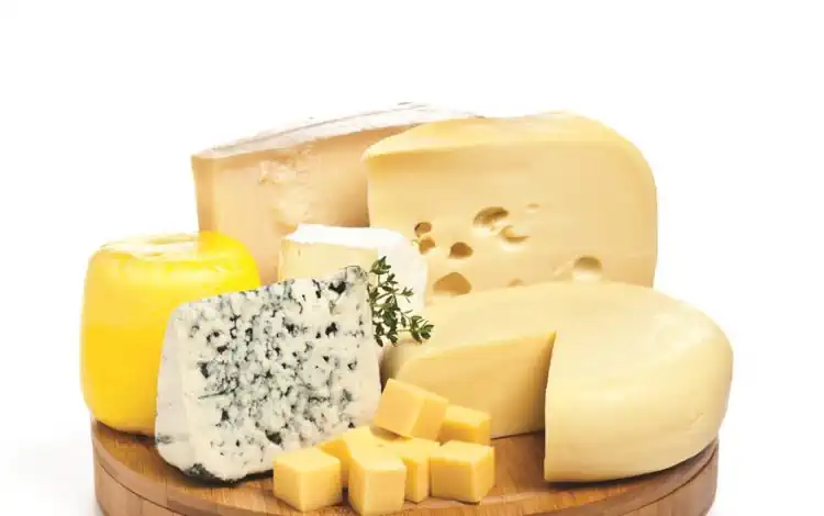 Descubra os sabores do Festival do Queijo Artesanal de Minas Gerais 2 Queijo Artesanal de Minas Gerais
