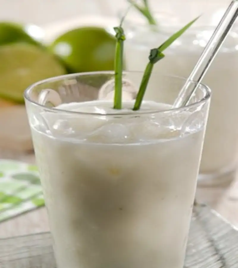 Bebidas de Verão: Descubra os Benefícios da Hidratação e 7 receitas de sucos e shakes funcionais 5 Bebidas de verão
