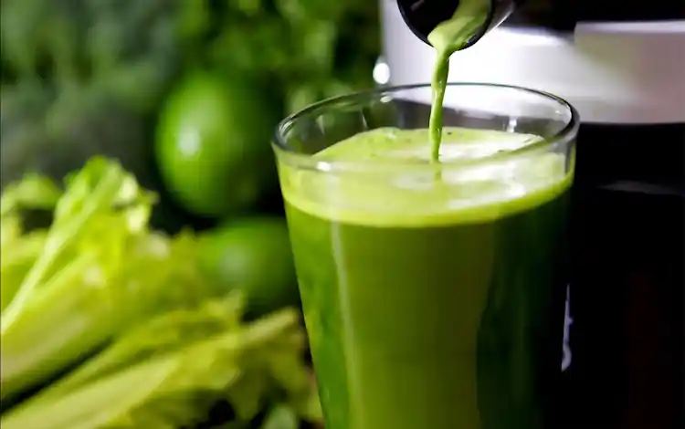 3 Cuidados com a Ora-pro-Nóbis que você precisa saber, Veja as Receitas 2 Cuidados com a Ora-pro-Nóbis