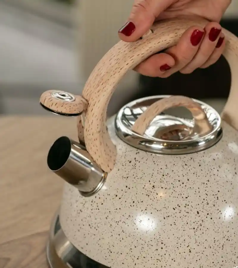Chaleira com Apito 2,7L com Indução Roma - Vanilla 2 Chaleira com Apito