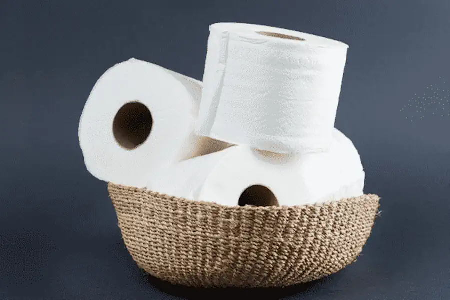 Qual o Melhor Papel Higiênico? Descubra Dicas e Opiniões para uma Escolha Consciente! 2 Qual o Melhor Papel Higiênico