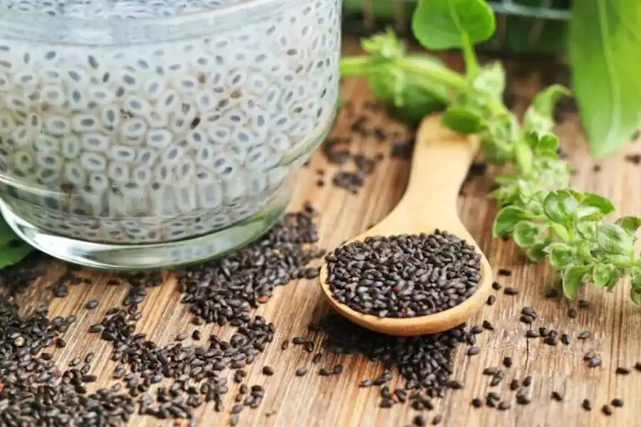 Semente de Chia: O Superalimento Que Conquistou o Mundo (E Pode Transformar Sua Saúde) 2 Semente de Chia O Superalimento