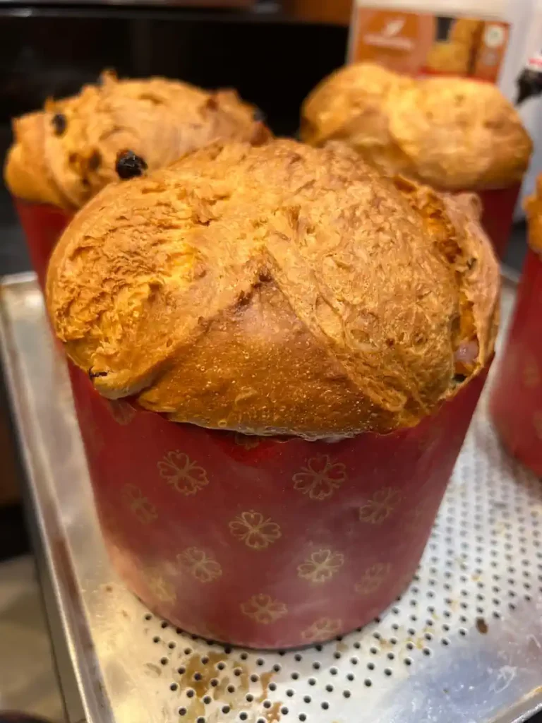 O Segredo do Panetone Artesanal: Aprenda a Receita Italiana com Fermento Biológico Seco 2 O Segredo do Panetone Artesanal